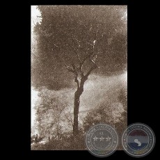 PAISAJE - Fotografía de PEDRO CABALLERO